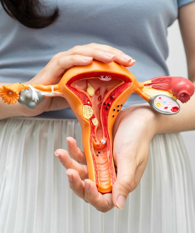 Urogynecological Treatment (1)